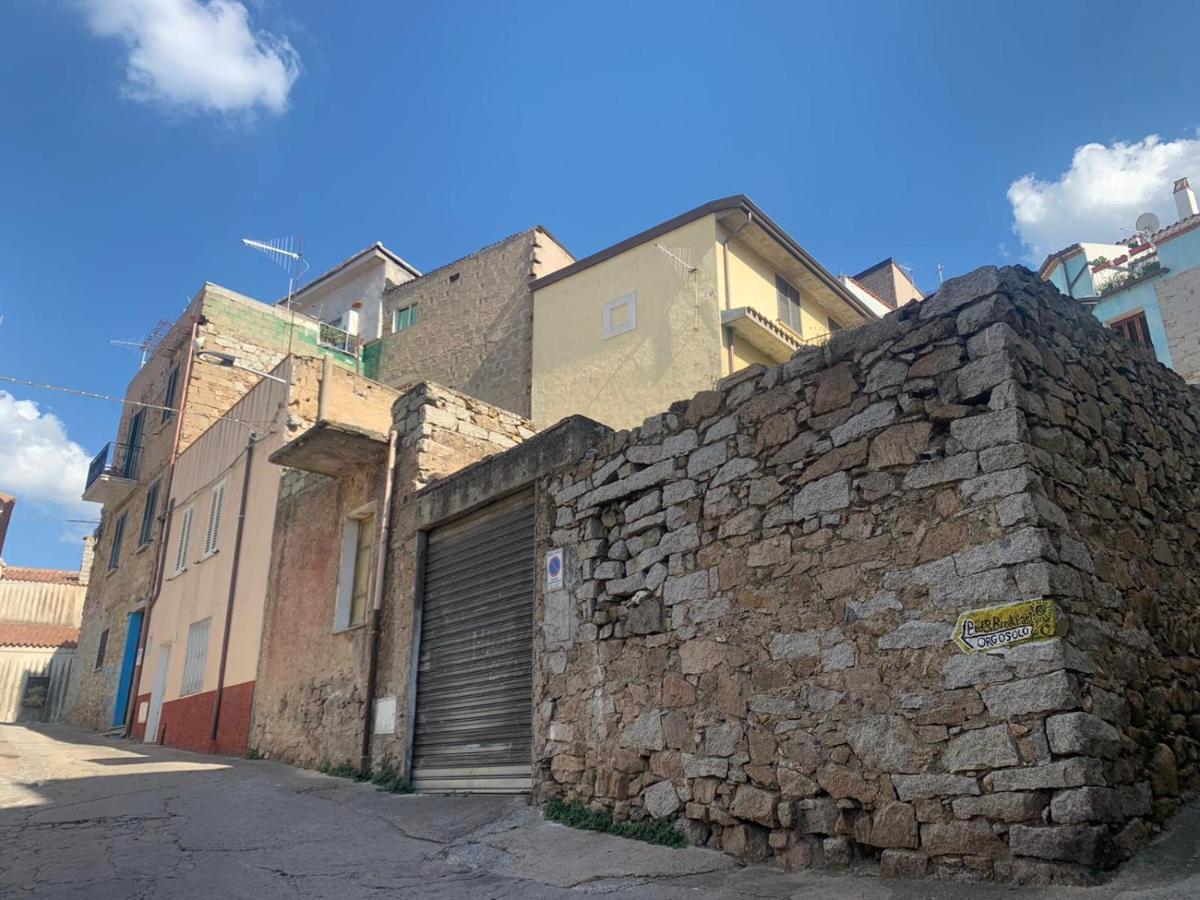 Orgosolo B&B Sardegna מראה חיצוני תמונה