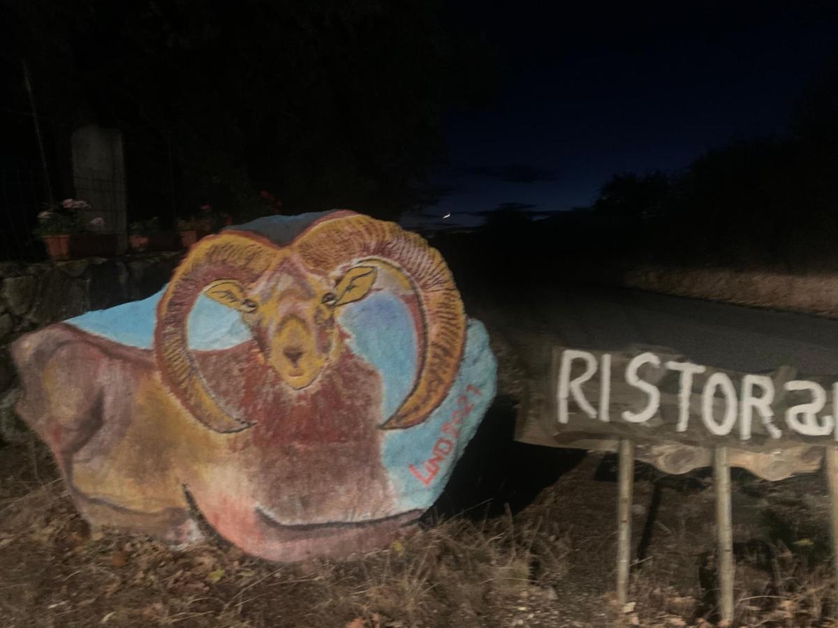 Orgosolo B&B Sardegna מראה חיצוני תמונה