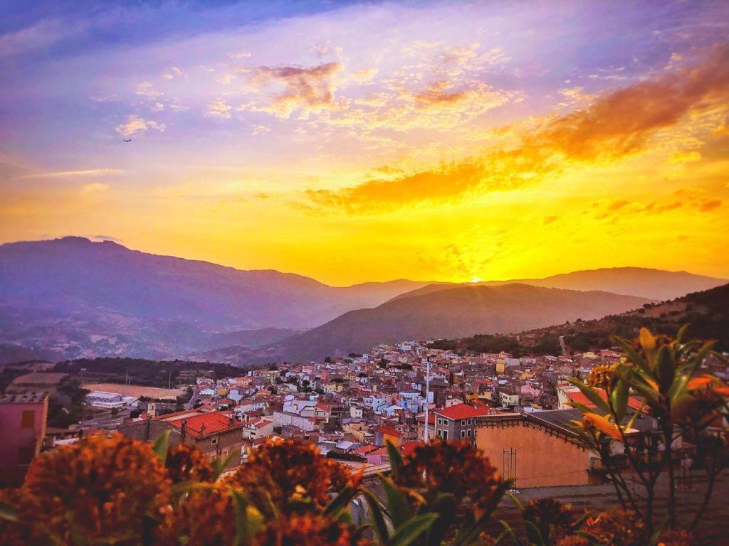 Orgosolo B&B Sardegna מראה חיצוני תמונה