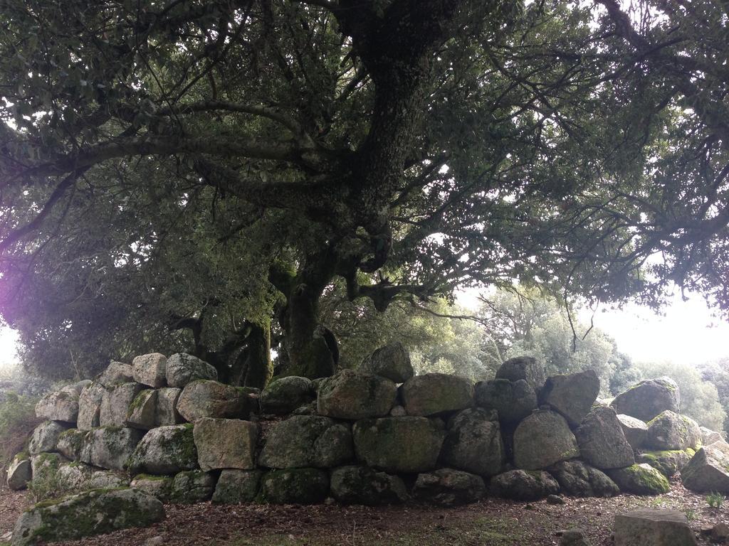Orgosolo B&B Sardegna מראה חיצוני תמונה