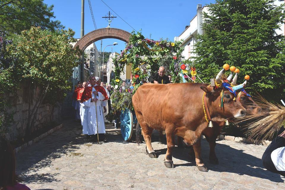 Orgosolo B&B Sardegna מראה חיצוני תמונה