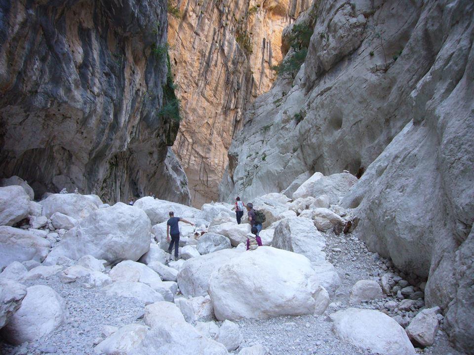 Orgosolo B&B Sardegna מראה חיצוני תמונה
